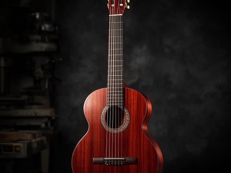 Guitarra criolla de palisandro con acabado satinado, apoyada frente a un telón oscuro de taller